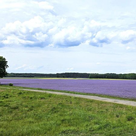 Pod Kamieniem Villa Trzebiel Exteriör bild