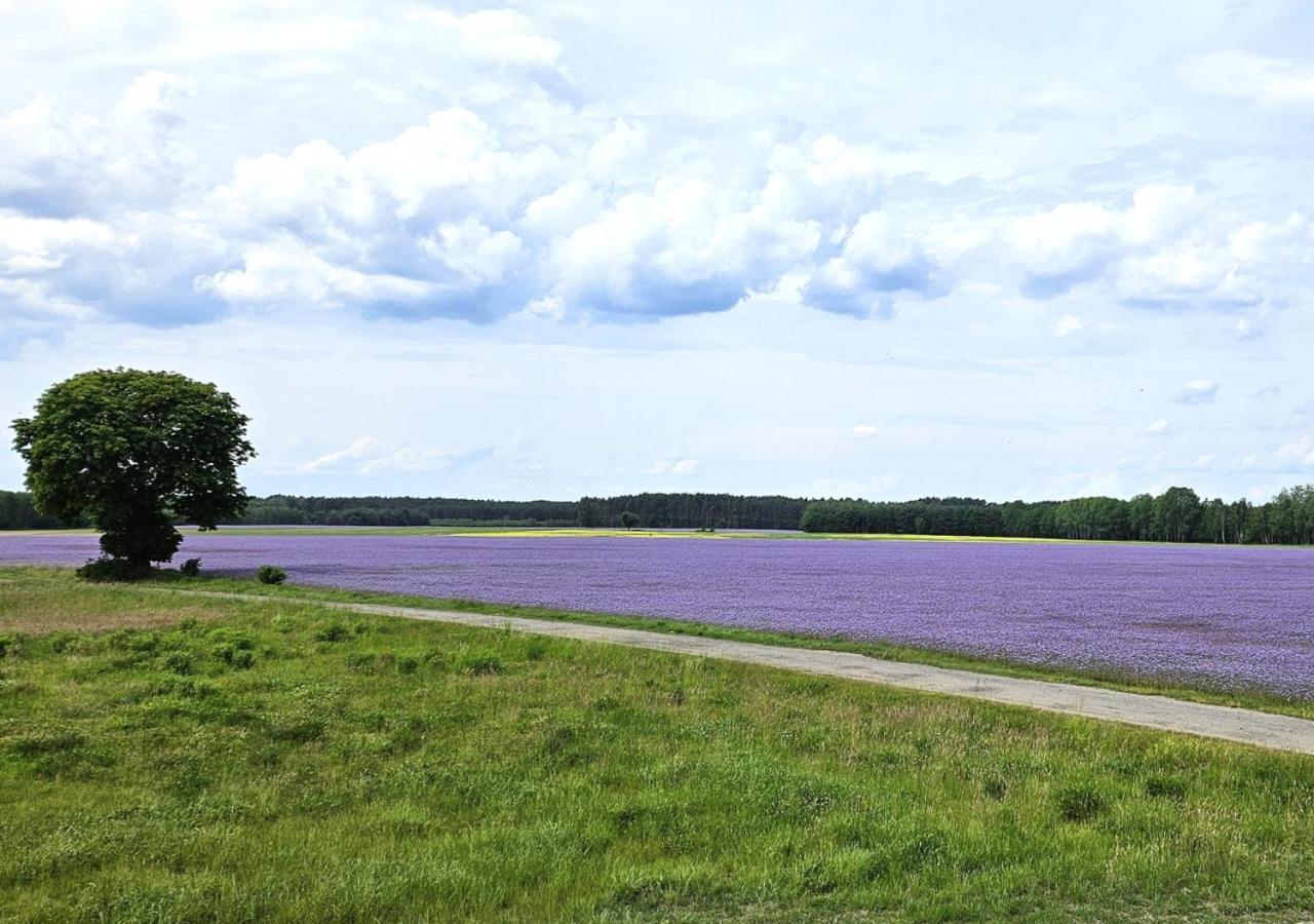 Pod Kamieniem Villa Trzebiel Exteriör bild